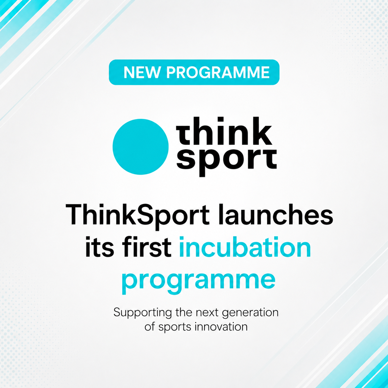 Incubator Programme